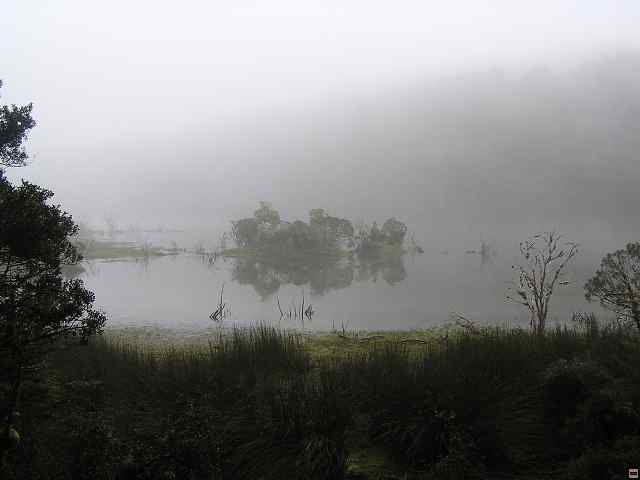 NZ leden-unor 2006 296.jpg